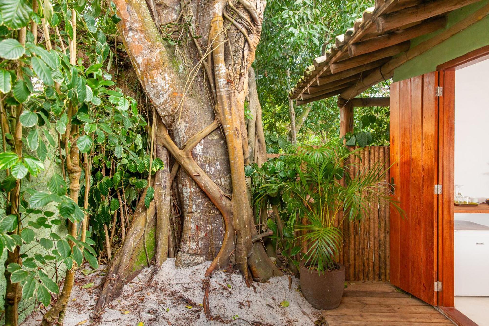 Pousada Mangue Sereno Caraíva Kültér fotó
