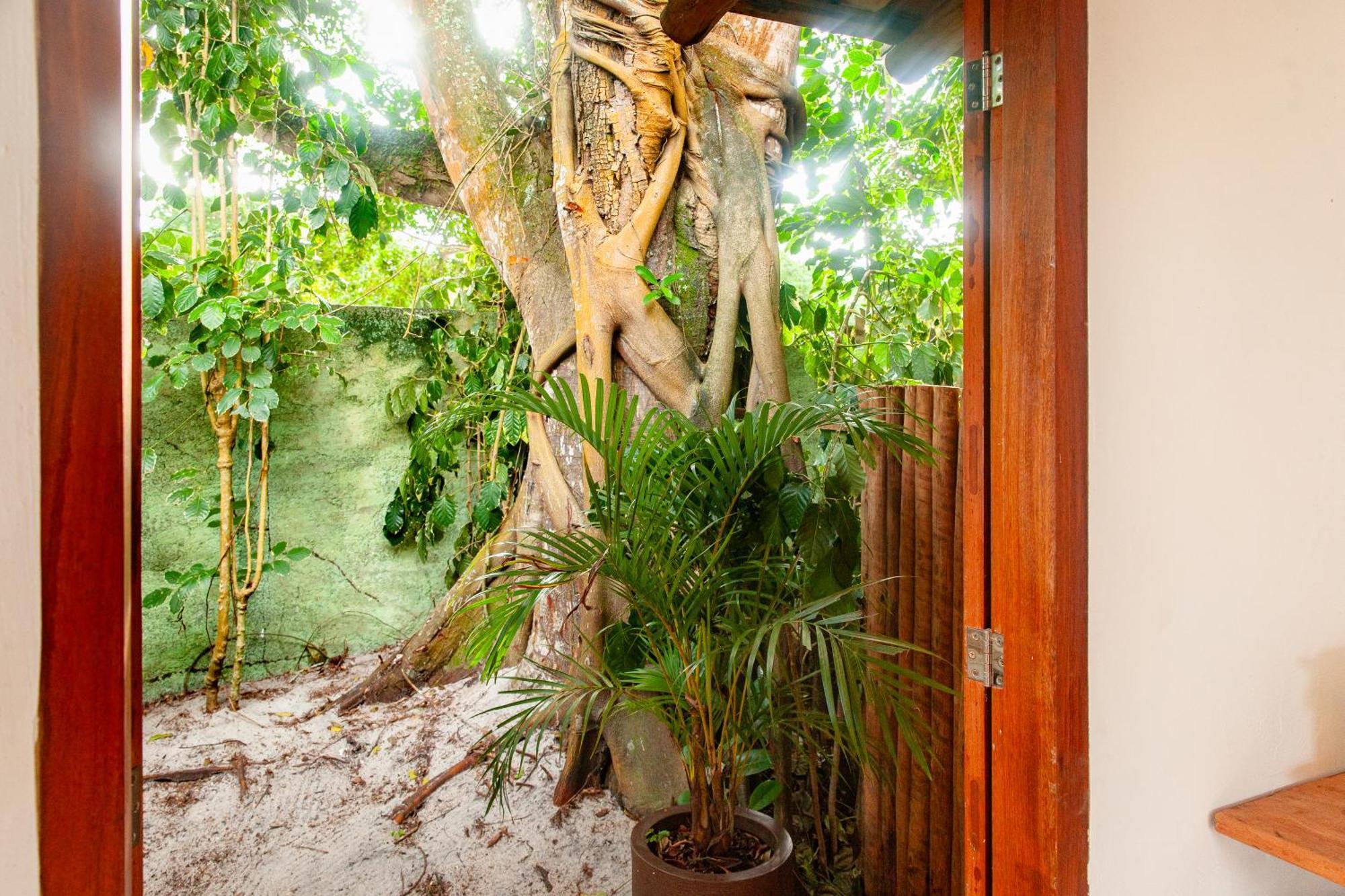 Pousada Mangue Sereno Caraíva Kültér fotó